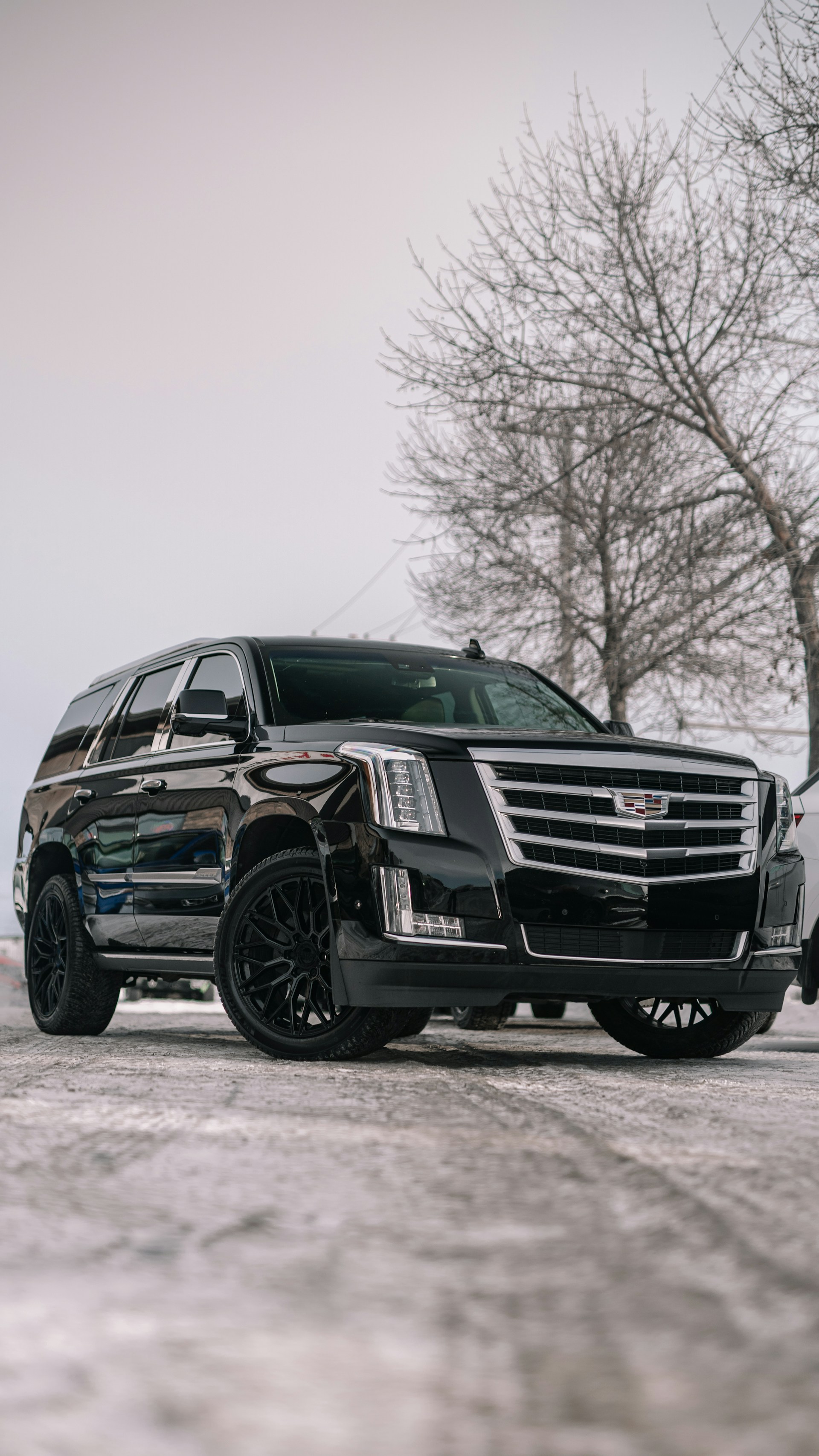 Black Cadillac Escalade ESV luxury SUV